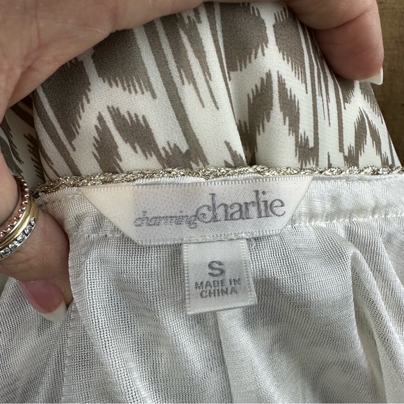 CHARMING CHARLIE - Sleeveless Sheer Dress Size Small - Picture 7 of 7